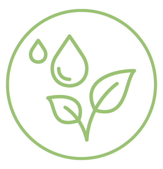 icono verde rodeado por círculo de planta de dos hojas regada por dos gotas de agua