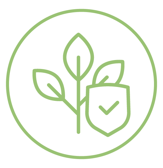icono verde rodeado por círculo de planta de tres hojas con símbolo escudo protección delante