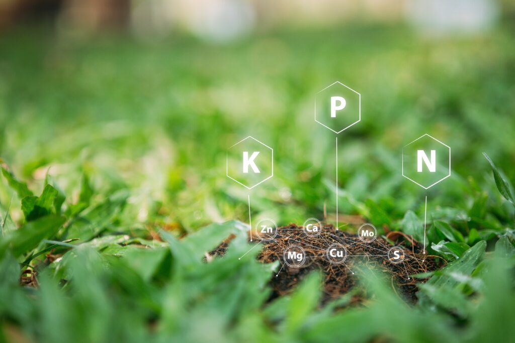 sección de tierra en un campo verde con iconos de símbolos químicos apuntando al suelo controlando su calidad